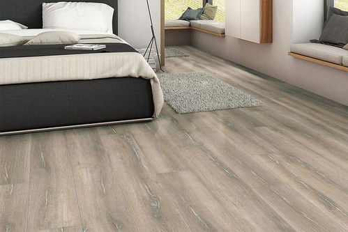 德國(guó)Haro品牌木地板 品質(zhì)與設(shè)計(jì)的完美融合，暢銷(xiāo)全國(guó)